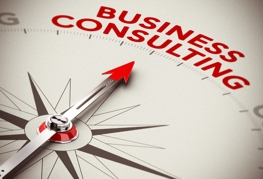 How To Improve Your Business Structure By Introducing A Business Consultant