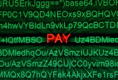 Pay yourself what you are worth. Pay Daze