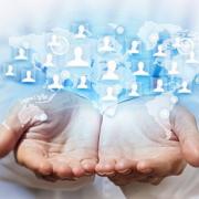 Your Directories